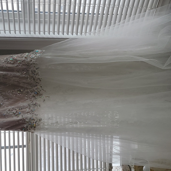 Beautiful GIGI Designs by La Femme lace gown - Picture 10 of 14